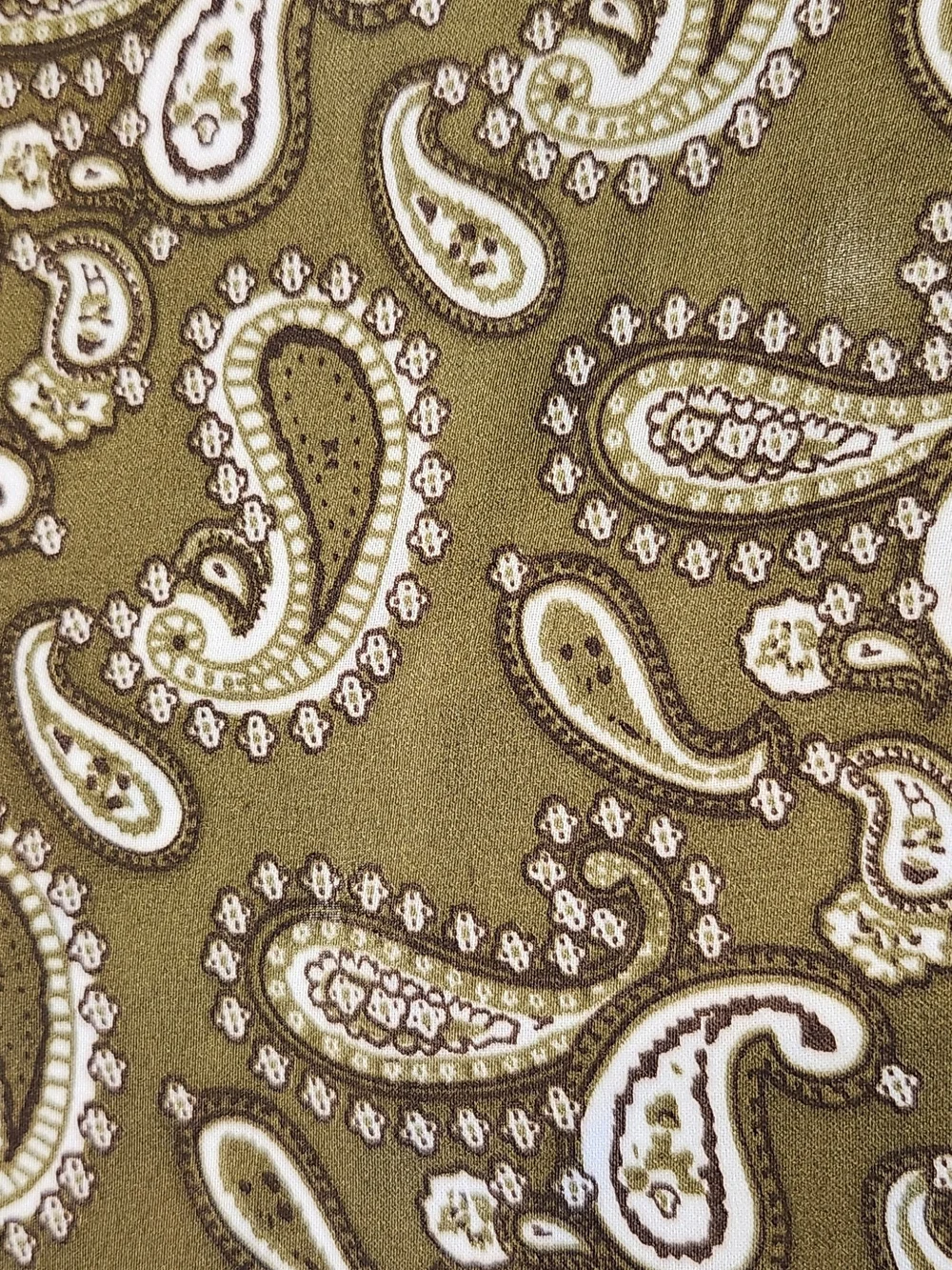Elegant Olive Paisley Scarf